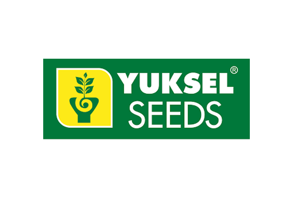 logos-yuksel-seeds