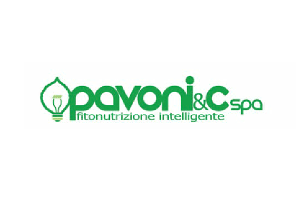 logo-pavonic-2